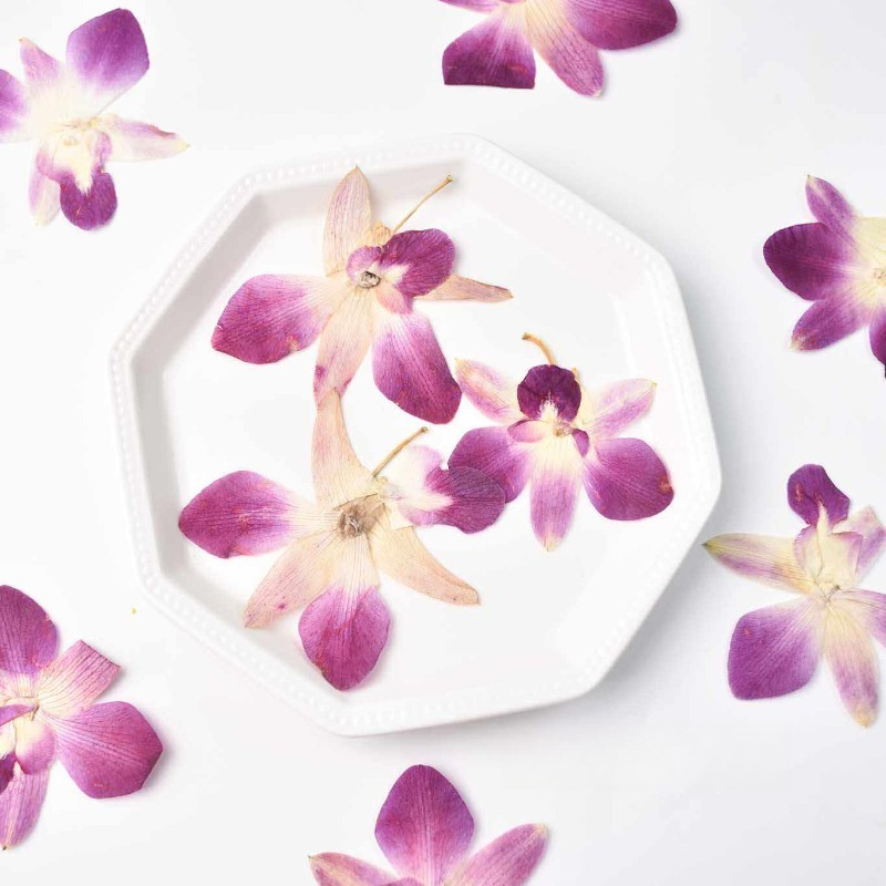 Art Craft Website - 4pcs,Real Pressed Butterfly Orchid Flowers DIY