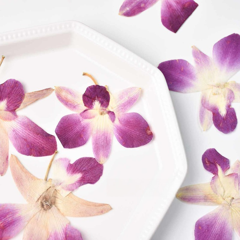4pcs,Real Pressed Butterfly Or - Art Craft Website 评论和价格