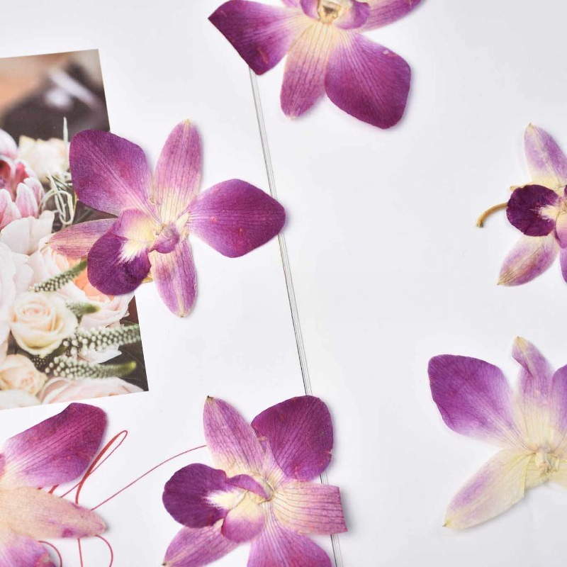 4pcs,Real Pressed Butterfly Or - Art Craft Website 评论和价格