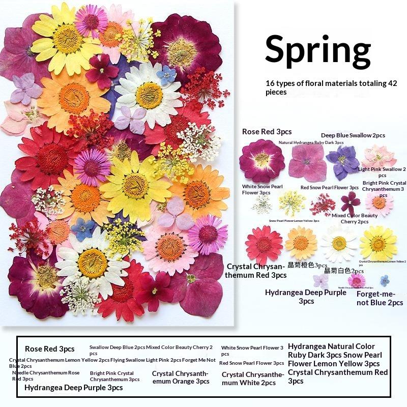 Dried Flowers Real Natural Pla - Art Craft Flower Making 评论和价格